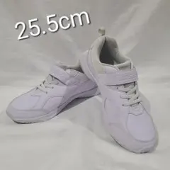 瞬足　靴