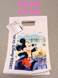 東京ディズニーリゾート お土産袋風バッグ