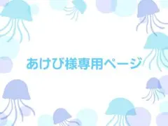 あけび様専用ページ