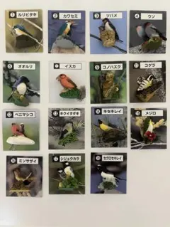 日本の小鳥15種セット　カバヤ　フィギュアコレクションのサムネイル