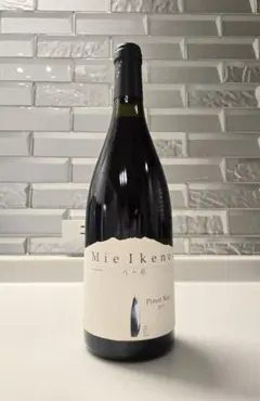 2026年最新】ミエイケノ ピノノワールの人気アイテム - メルカリ