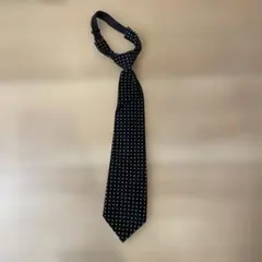 Item thumbnail for item ba377044-8a86-4ef4-b3f6-81085891c935