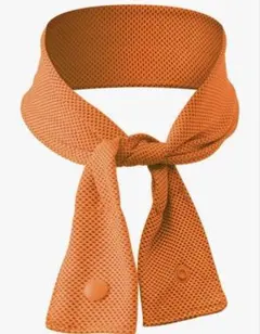 Item thumbnail for item 5035832a-a4bb-45cb-81be-27a9168a4634