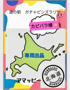 2026年最新】北海道登録抹消道の駅ピンズの人気アイテム - メルカリ