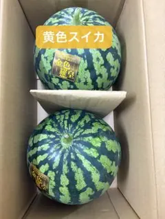 124千葉県産まるあさ大玉スイカ訳あり良品5Lサイズ1箱2玉入り - メルカリ