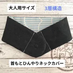 Item thumbnail for item f613eba1-4620-4f60-90c7-26d7e664bd20