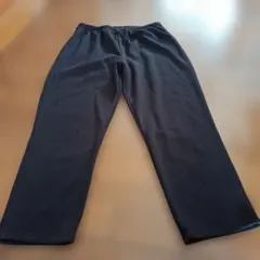 裏起毛 ワイドパンツ