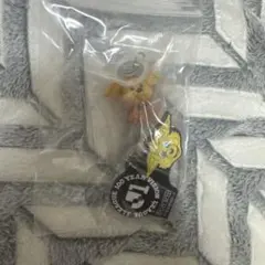 Jリーグ 百年構想キーホルダー めじるしマスコットセット