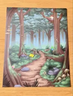 海外ポケセン限定 포켓몬 森 ポスター 25×20cm