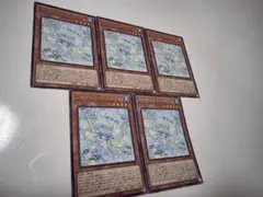 遊戯王 マルチャミープルリア5枚
