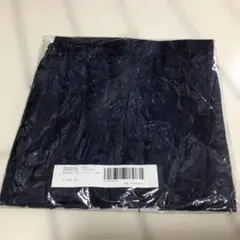 Item thumbnail for item e9e74500-3fa8-4e09-a3c1-5d7edd9ab318