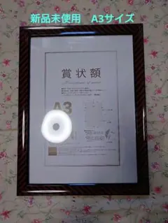 Item thumbnail for item 823a5ea4-6248-429a-a303-86b51b31e323