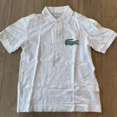 【美品／匿名発送】ラコステLACOSTE　無地大型ロゴポロシャツ　Mサイズ