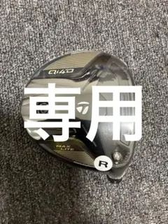 Qi4D MAX LITE 3W 15° ヘッド単体 ヘッドカバー付き - メルカリ