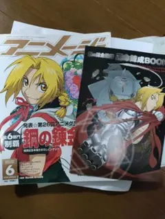 月刊少年ガンガン 2004年4月号 鋼の錬金術師 ドラマCD付属 - メルカリ