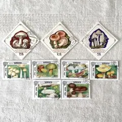 そら様 リクエスト 2点 まとめ商品