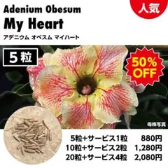 cotton breed様 リクエスト 3点 まとめ商品