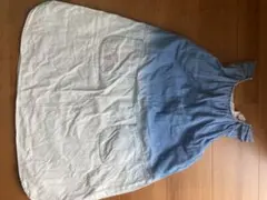 Item thumbnail for item 5b325123-51ff-476f-b5da-91c065501549