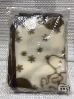 Item thumbnail for item 8d8ff6f4-8b6c-4cee-acc4-9529e98f8f2e