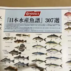 日本水産魚譜 307選ポスター - メルカリ