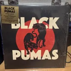 BLACK PUMAS デビューアルバム ホワイトビニール