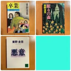 Item thumbnail for item 7e536702-a428-4d33-9a37-0472bde4210e