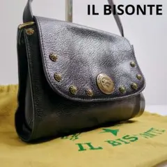 【希少】イルビゾンテ　ワニーコレクション　ショルダーバック　スタッズ　レザー