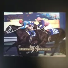 イナリワン、ROAD TO THE WINNER