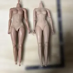 s*o様 hottoys 1\6女性素体　中古品2体　可動フィギュア　バイオハザのサムネイル