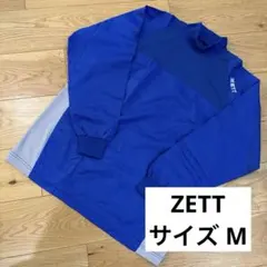 Item thumbnail for item 107a01b0-6b67-44fd-ad04-4f1a45027aea