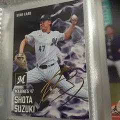 Item thumbnail for item 7b488fa5-404c-4717-a422-475024f358a4