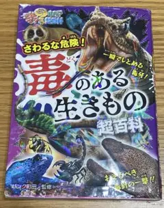 Item thumbnail for item 0367857b-565e-4a0a-bd63-f9ef02f5d2fd