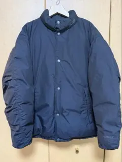 THE NORTH FACE オルタレーションシエラジャケット L