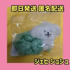 WISH DOLL 公式品 JAEHEE ジェヒ ぬいぐるみ デントリバー 6 - メルカリ