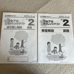 早稲アカ 2025年3月 小2 チャレンジテスト 算 国 解き直し問題 解答解説のサムネイル