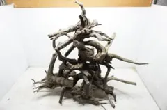 2026年最新】ada ブランチウッドの人気アイテム - メルカリ