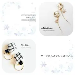 ゆか様 リクエスト 2点 まとめ商品　サージカルステンレスピアス