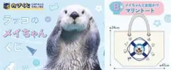 カプくじ×鳥羽水族館 ラッコのメイちゃん メイちゃんとお出かけマリン