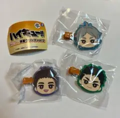 ハイキュー みにコレ 前髪クリップ vol.2
