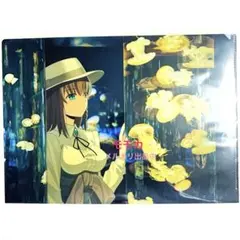 FGO新聞10周年OVER THE SAME SKYクリアファイル バーゲスト - メルカリ