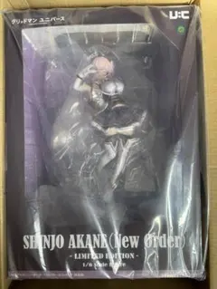 2026年最新】ユニオンクリエイティブ 新条アカネ(ニューオーダー)の