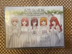 Item thumbnail for item 52afb073-c1b6-413b-93a3-163a3e0b7ac8