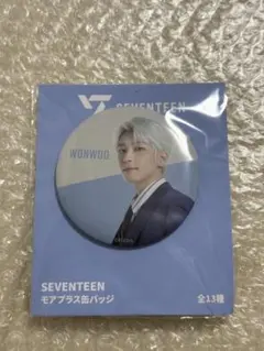 SEVENTEEN ウォヌ　缶バッジ seventeen holiday ウォヌ 缶バッチ 缶バッジ｜Yahoo!フリマ（旧PayPay