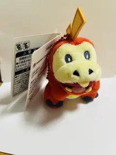 ポケモン ぬいぐるみ ホゲータ