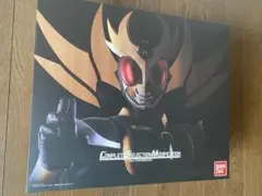 仮面ライダーアギト　csm