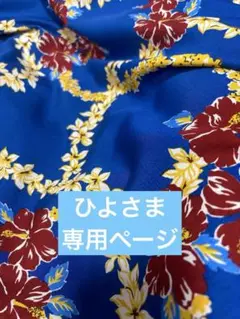専用ページ