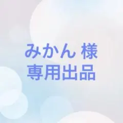 みかん様　専用出品