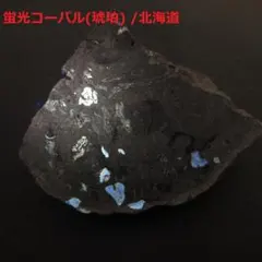 2026年最新】琥珀標本の人気アイテム - メルカリ