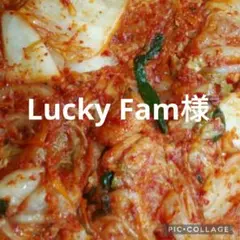 Lucky Fam様専用です。