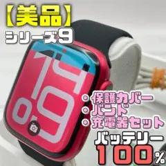 保証有【美品】BT100％ シリーズ11 保護カバー＋バンド＋充電器 1969